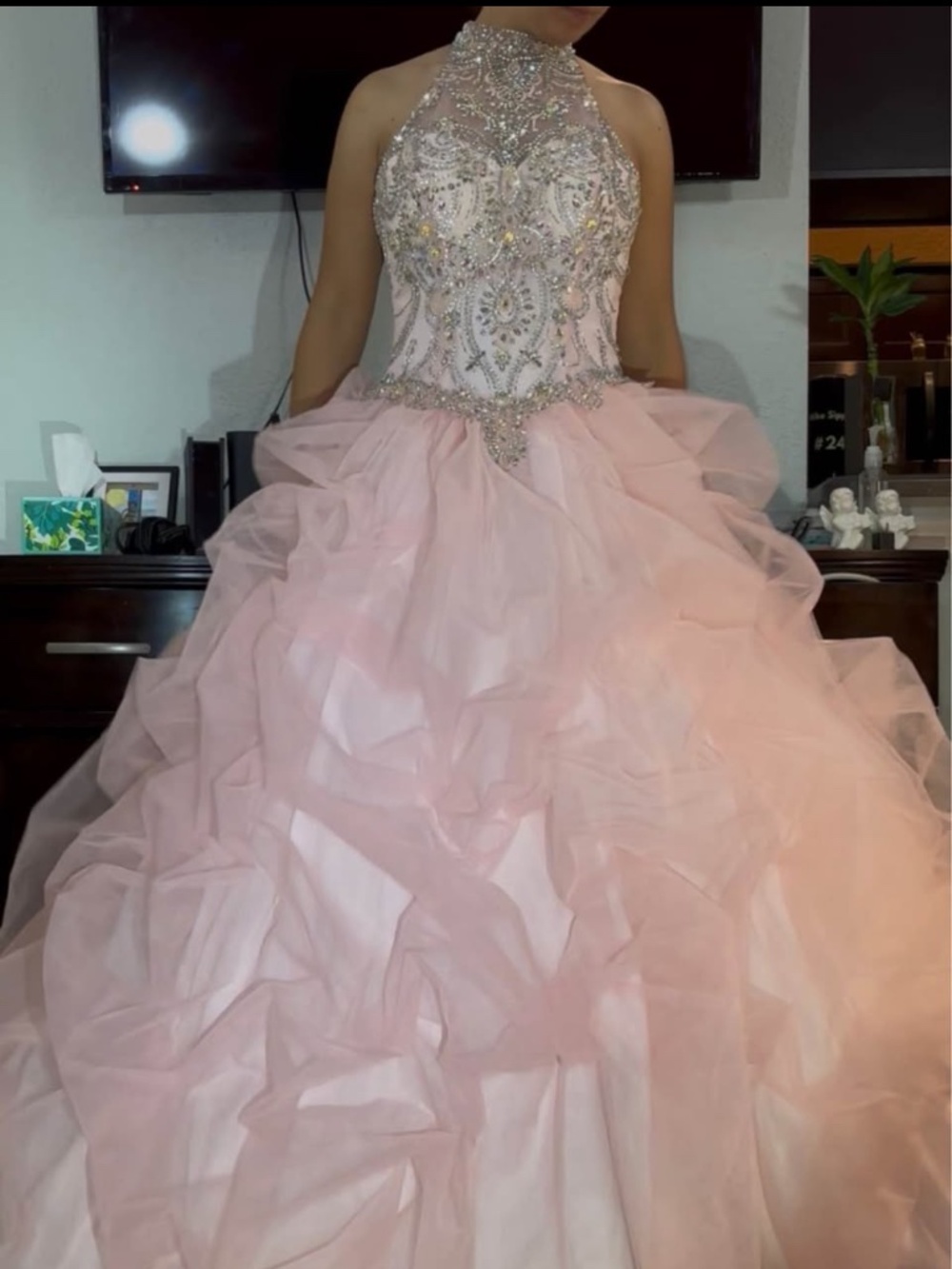 Leonia Lee Pink Pageant Ball Gown Dress